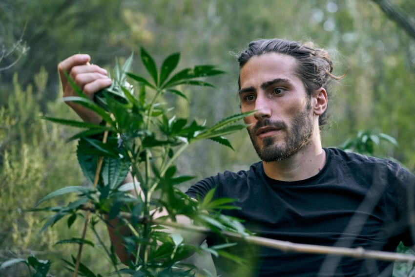 Medical Marijuana